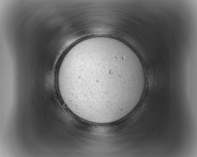 X0000103901074200809261545