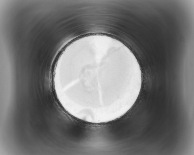 X0000103901076200809261545