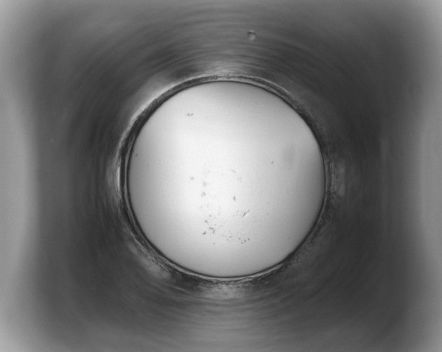 X0000103901078200809261545