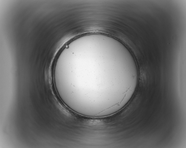 X0000103901082200809261545