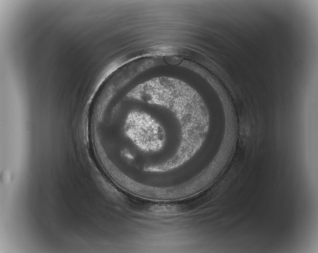X0000103901083200809261545
