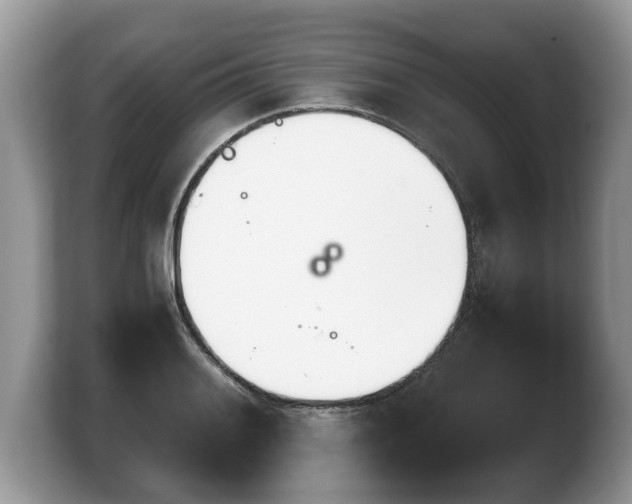 X0000103901084200809261545