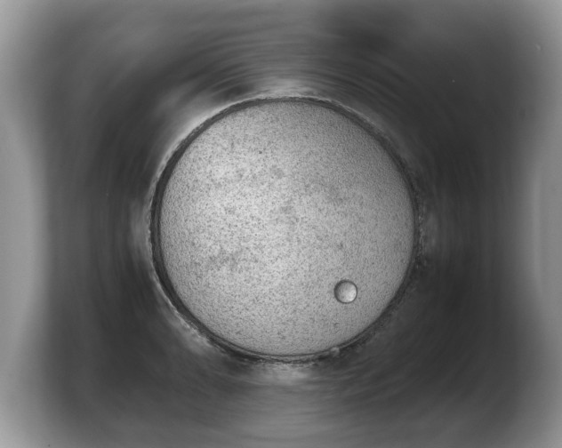X0000103901086200809261545