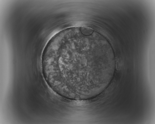 X0000103901087200809261545