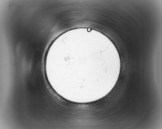 X0000103901088200809261544