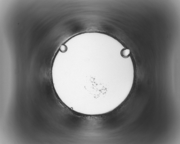 X0000103901089200809261544