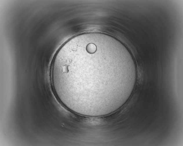 X0000103901090200809261544