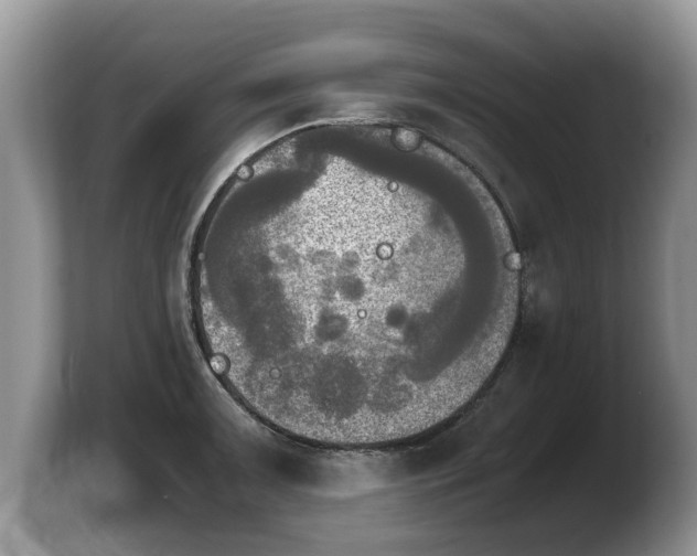 X0000103901091200809261544