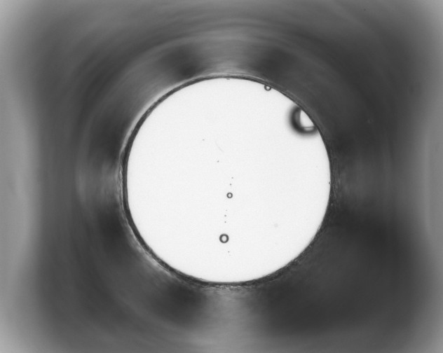 X0000103901092200809261544