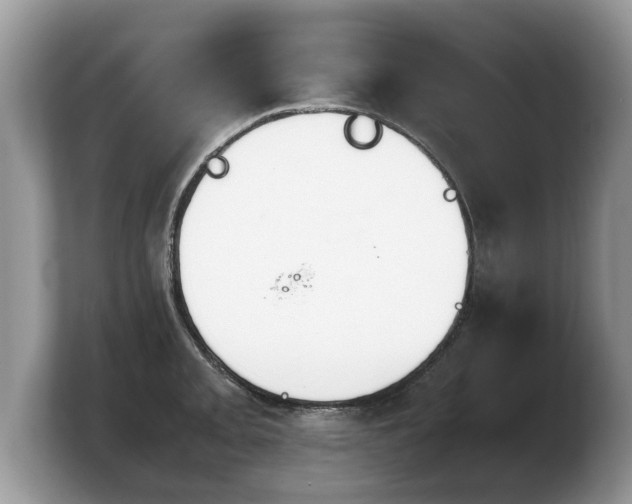 X0000103901093200809261544