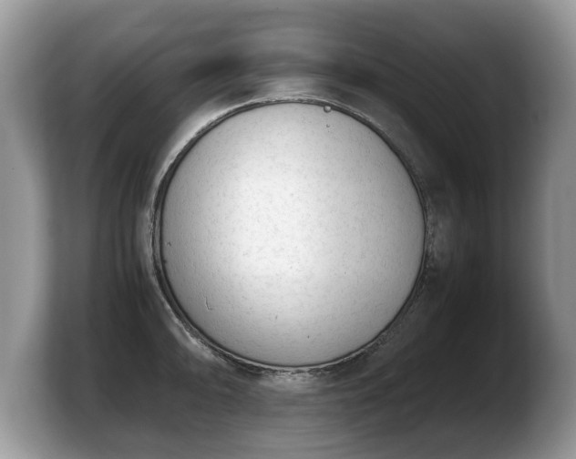 X0000103901094200809261544