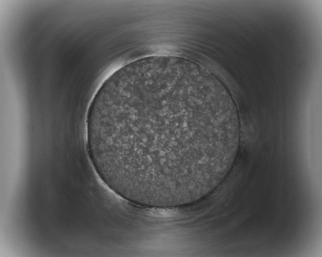 X0000103901095200809261544