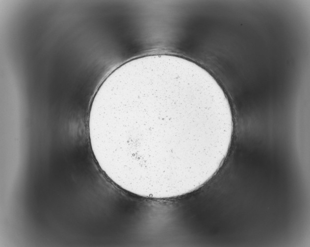 X0000103901097200809261544