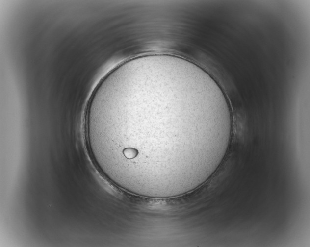X0000103901098200809261544