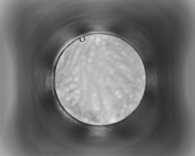 X0000103901100200809261544