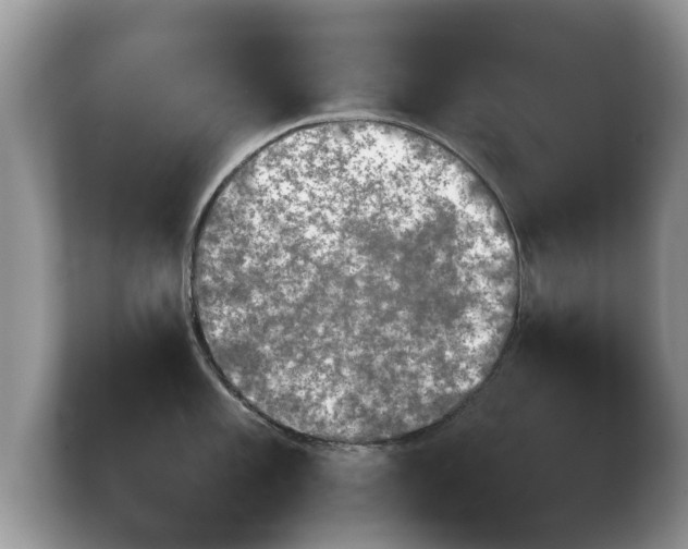 X0000103901101200809261544