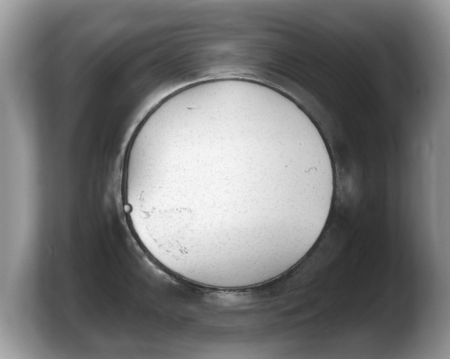 X0000103901102200809261544