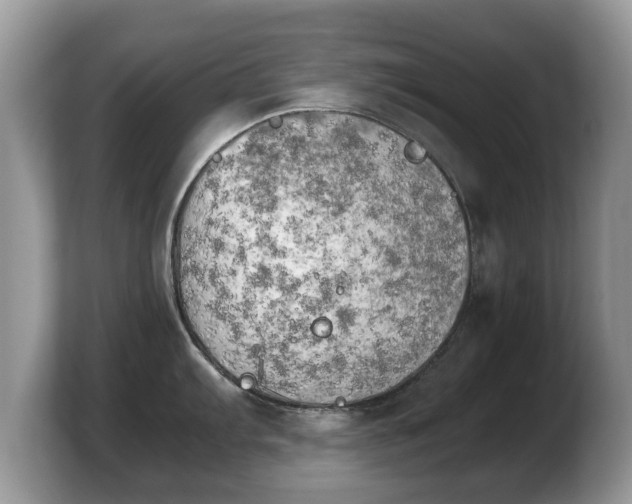 X0000103901103200809261544