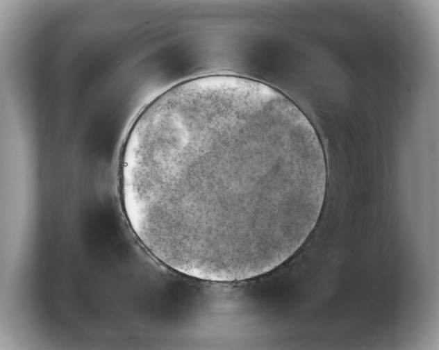 X0000103901104200809261544