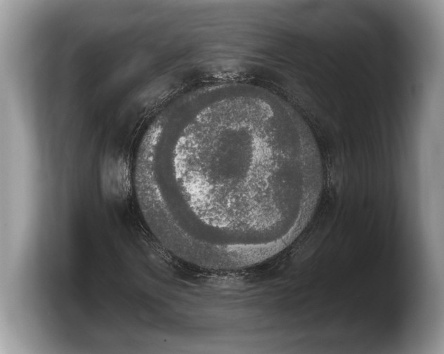 X0000103901106200809261544