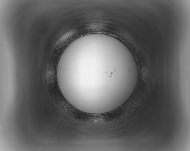 X0000103901111200809261544