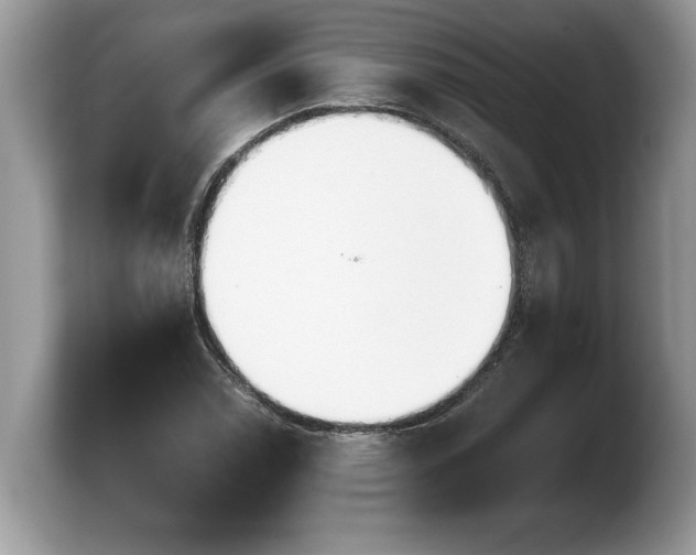 X0000103901114200809261544