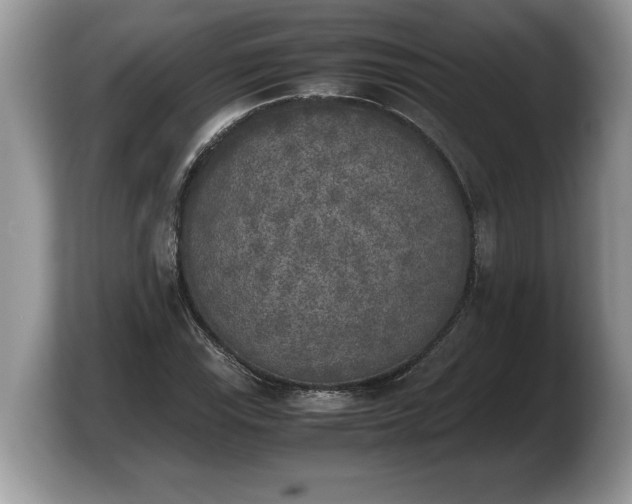 X0000103901115200809261544