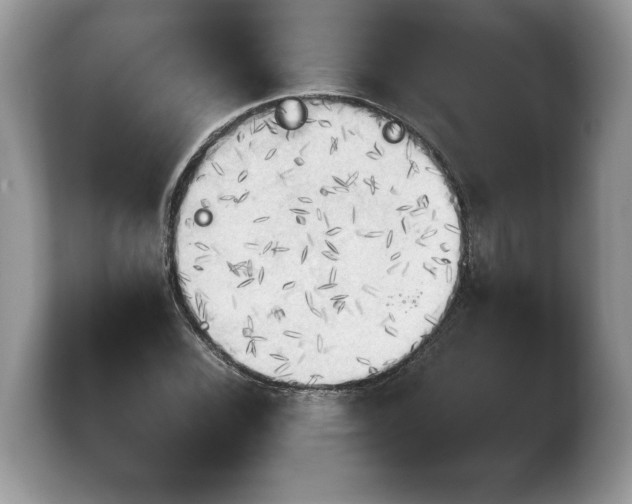 X0000103901116200809261544