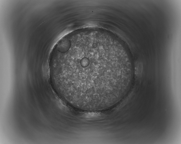 X0000103901117200809261544