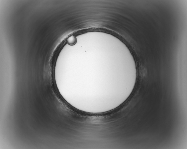 X0000103901118200809261544
