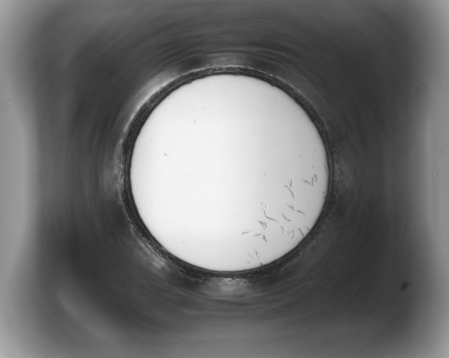 X0000103901119200809261544