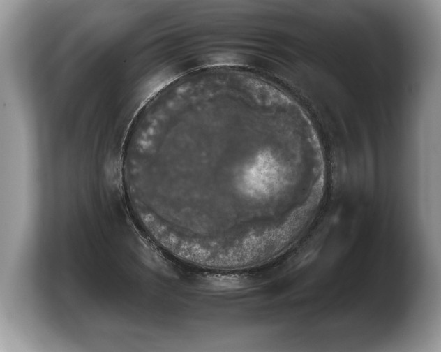 X0000103901121200809261544