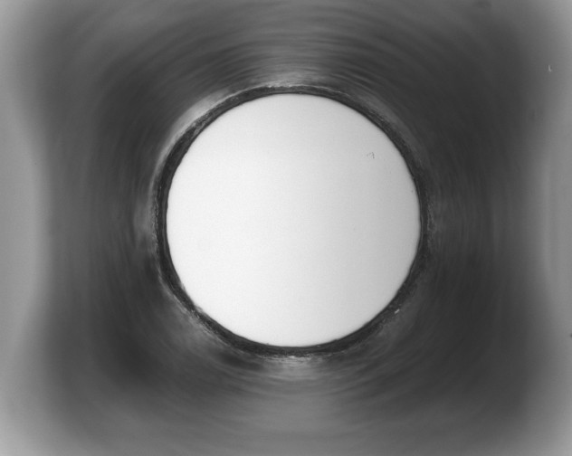 X0000103901122200809261544