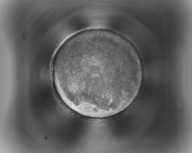 X0000103901124200809261544