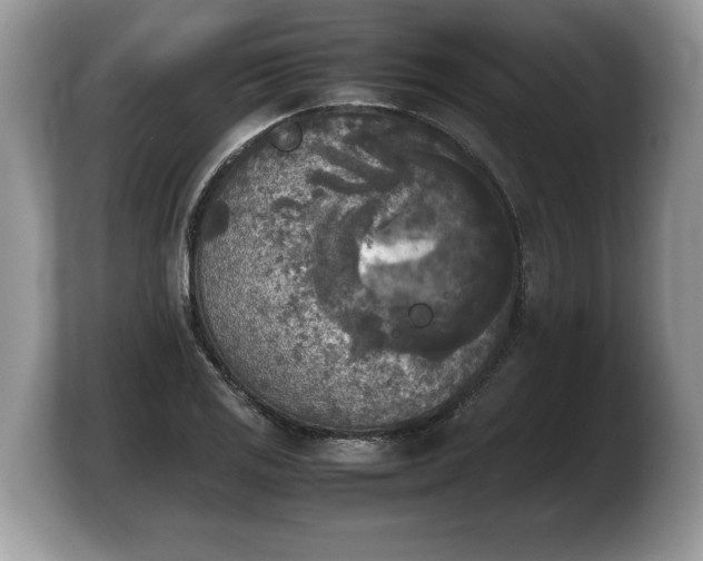 X0000103901125200809261544