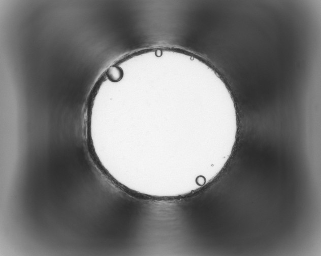 X0000103901126200809261544