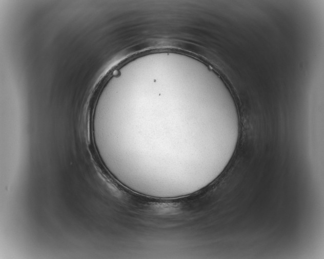 X0000103901127200809261544