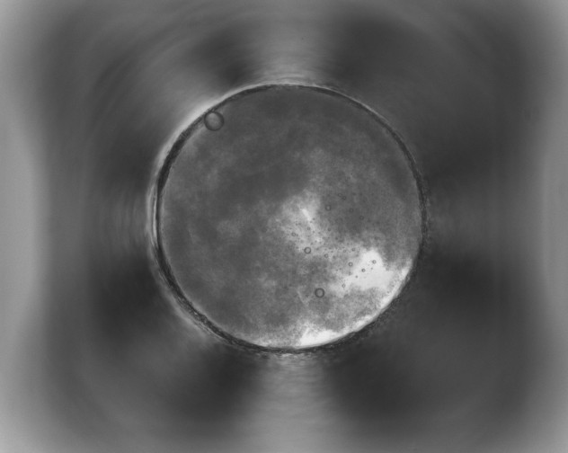 X0000103901128200809261544