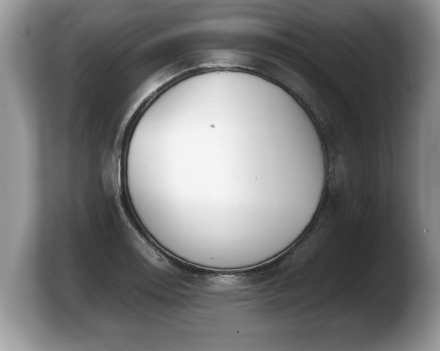X0000103901130200809261544
