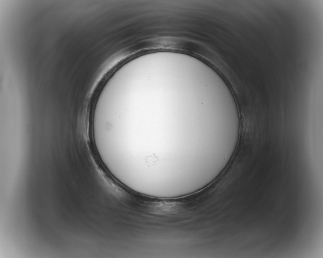 X0000103901131200809261544