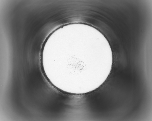 X0000103901134200809261544