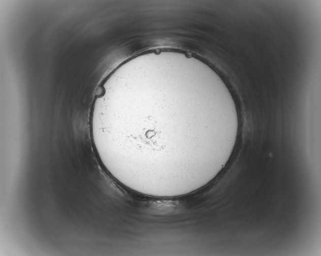 X0000103901137200809261544
