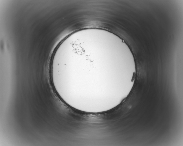 X0000103901138200809261544