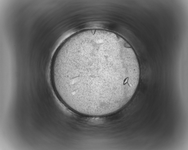 X0000103901139200809261544