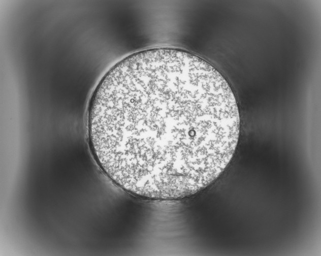 X0000103901140200809261544