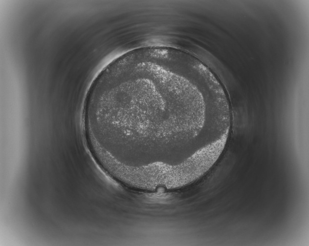 X0000103901141200809261544