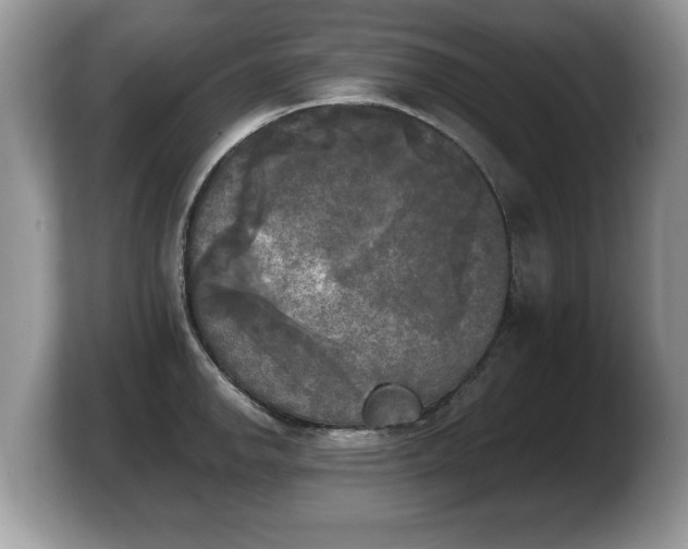 X0000103901142200809261544