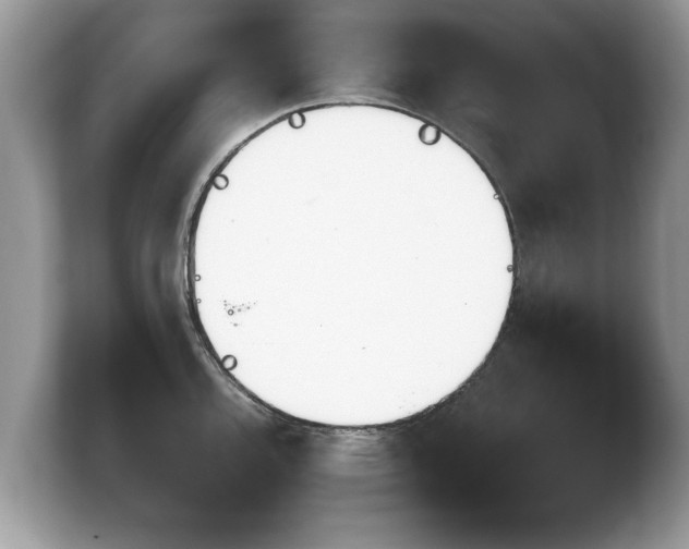 X0000103901144200809261544