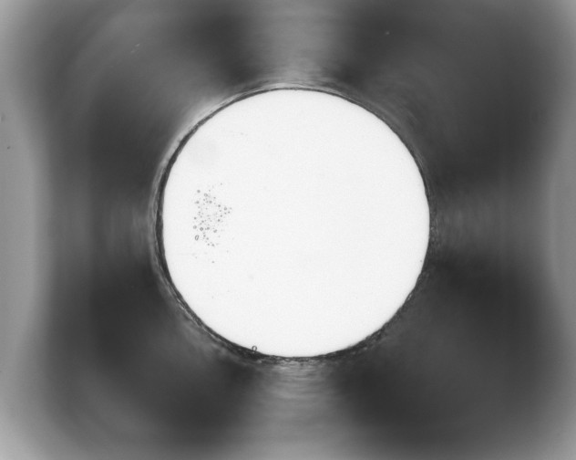 X0000103901146200809261544
