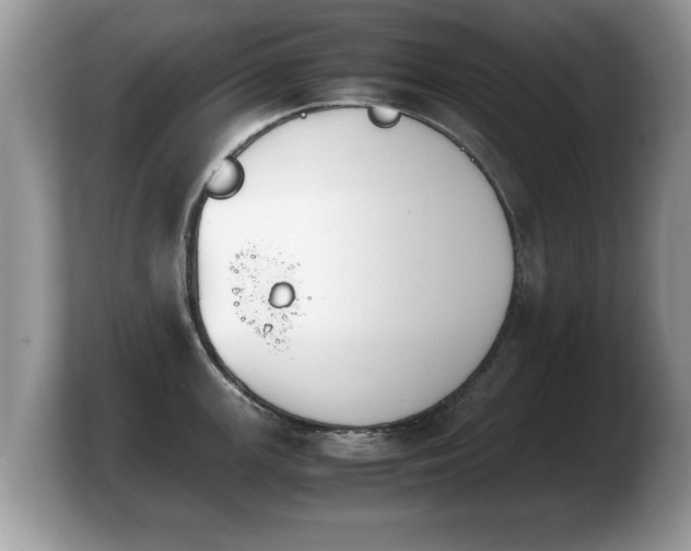 X0000103901147200809261544